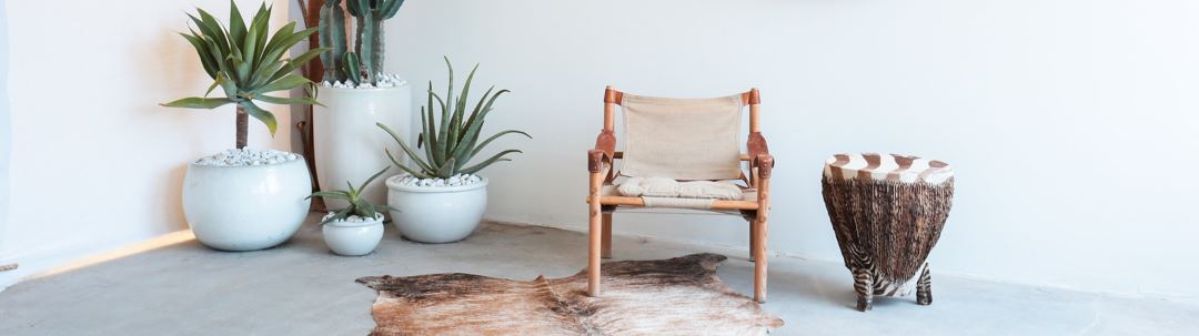 DEDON california-dreaming news