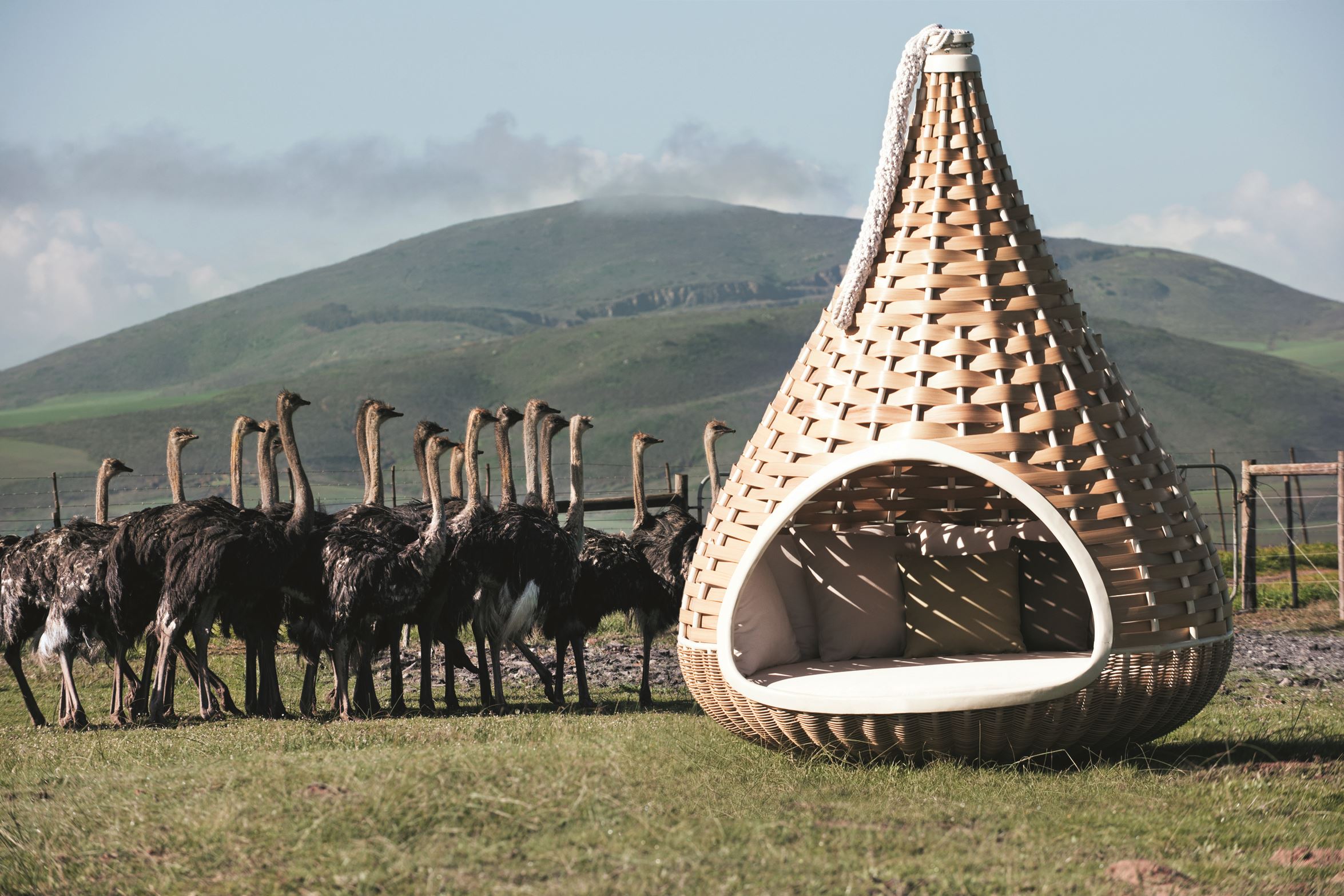 Dedon Nestrest High 102