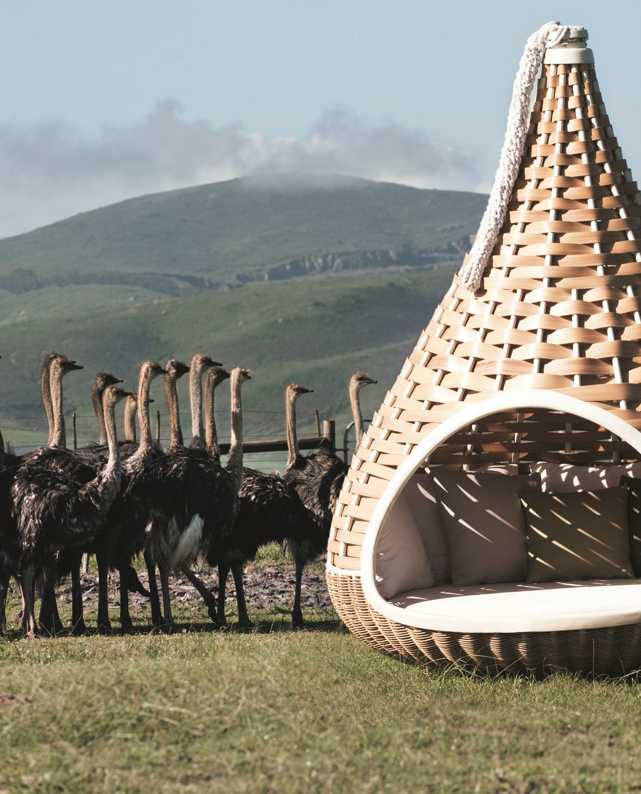 Dedon Nestrest High 102