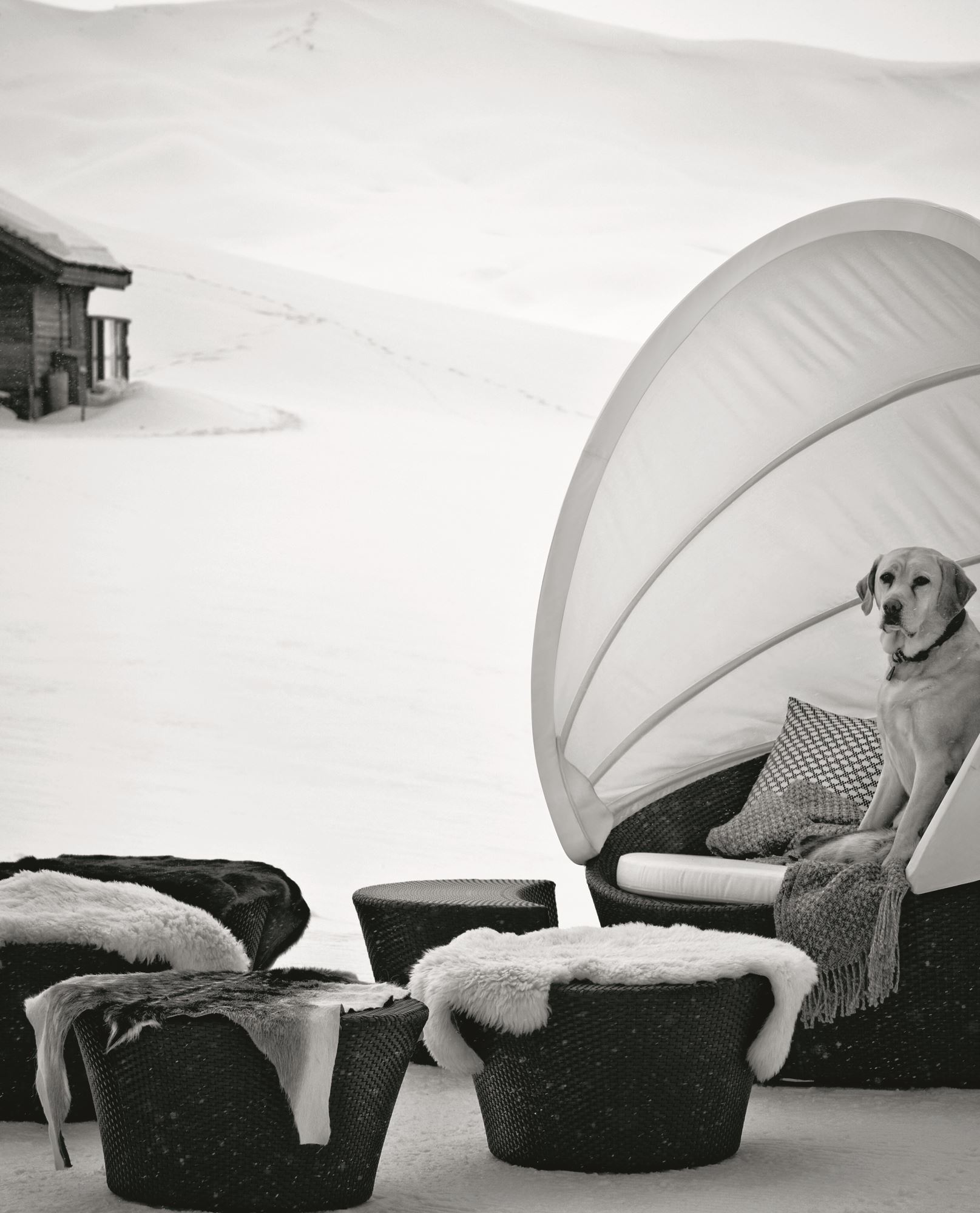 Dedon Orbit High 105