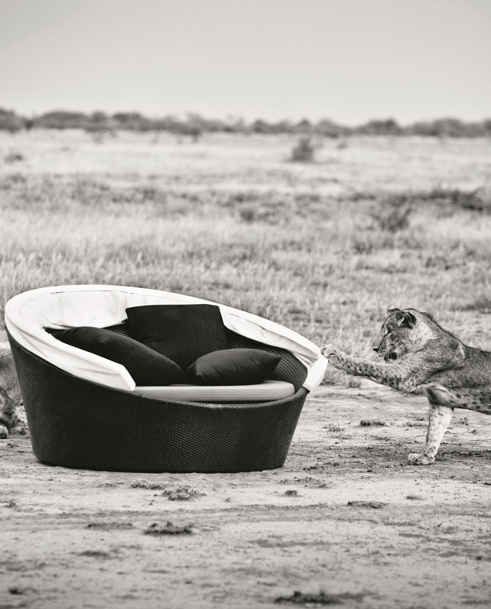 Dedon Orbit High 107