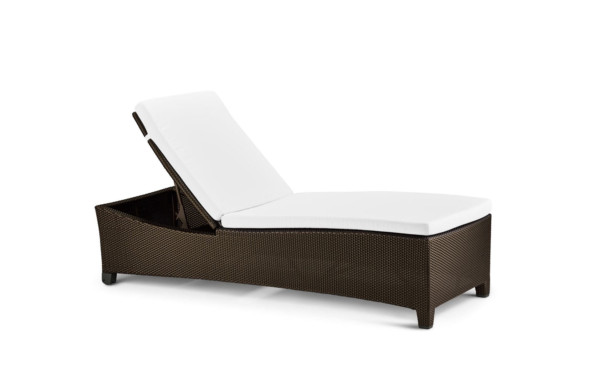 Modern Dedon Beach Chair 