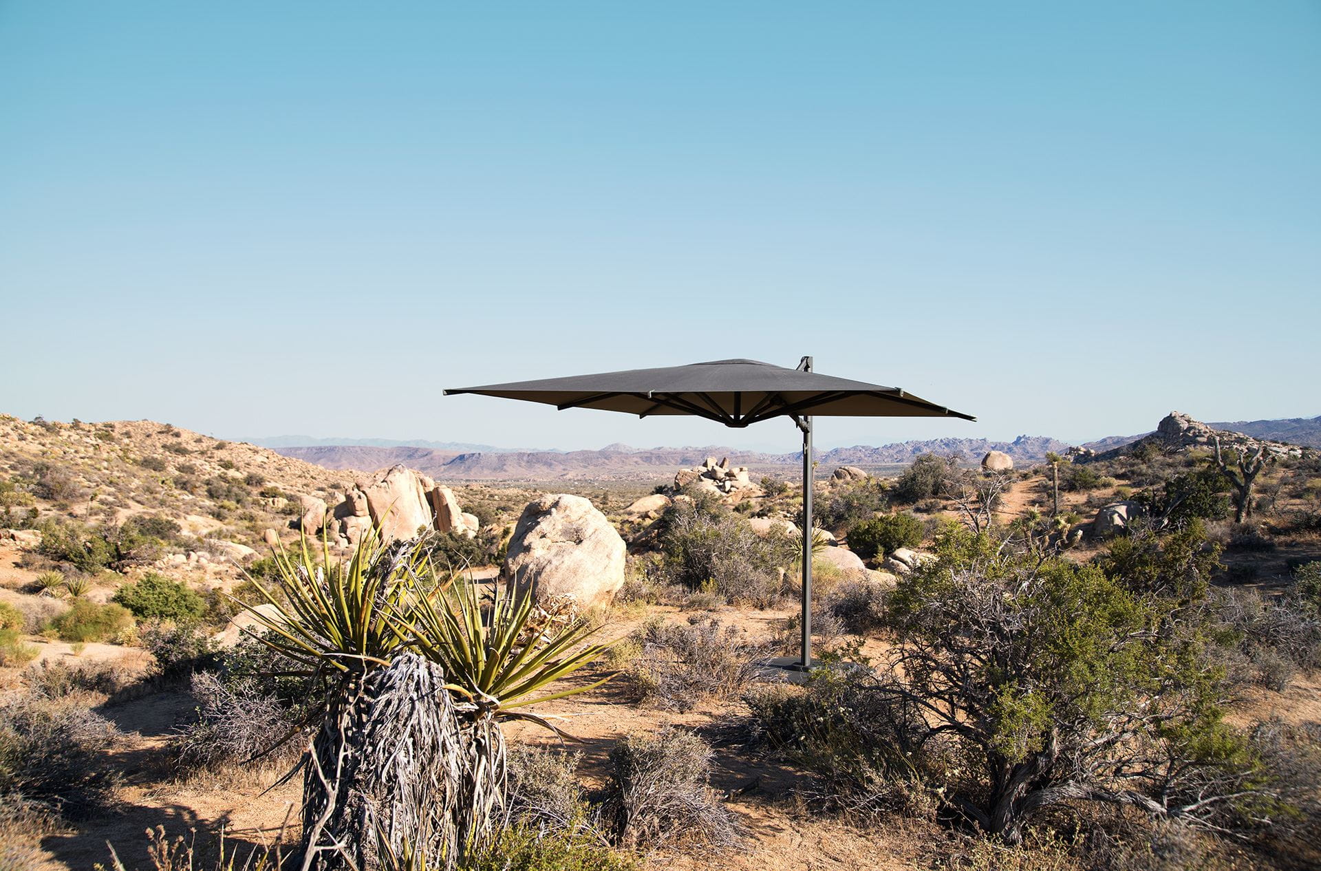 DEDON REAV Collection